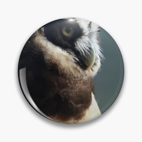 Item preview, Spectacled Owl designed and sold by MADowdPhotos.