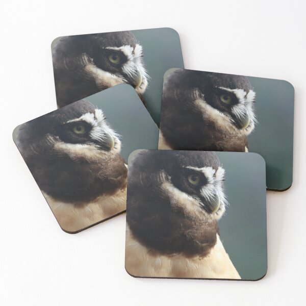 Item preview, Spectacled Owl designed and sold by MADowdPhotos.