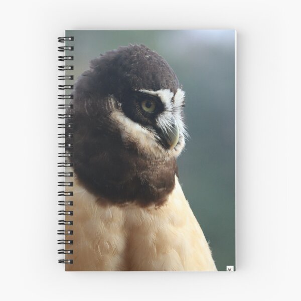 Item preview, Spectacled Owl designed and sold by MADowdPhotos.