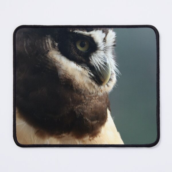 Item preview, Spectacled Owl designed and sold by MADowdPhotos.
