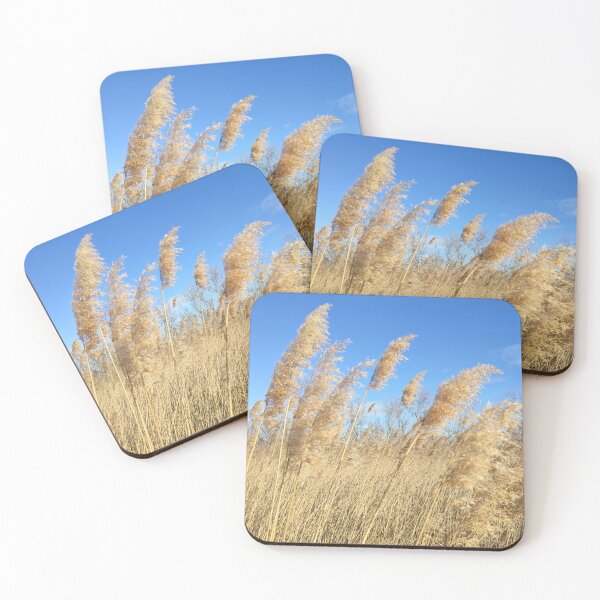 Item preview, Wild reeds in an intact nature. designed and sold by KookArt.