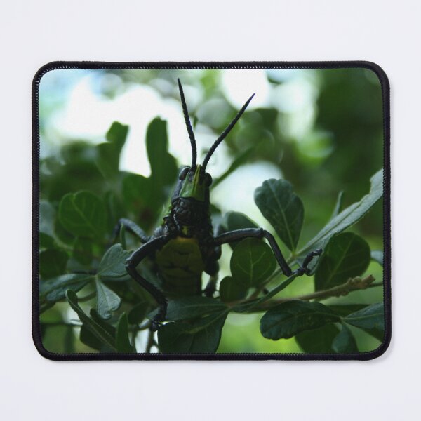 Item preview, Can you see Me? designed and sold by MarkBraham.