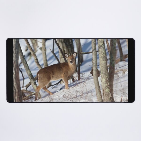 Item preview, Whitetail Deer on a Snowy Mountain designed and sold by LisaNaturePhoto.