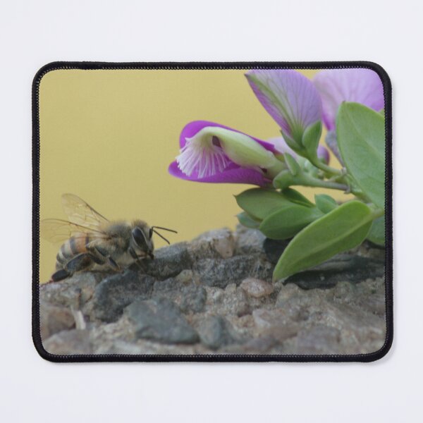 Item preview, Can I jump in? designed and sold by MarkBraham.