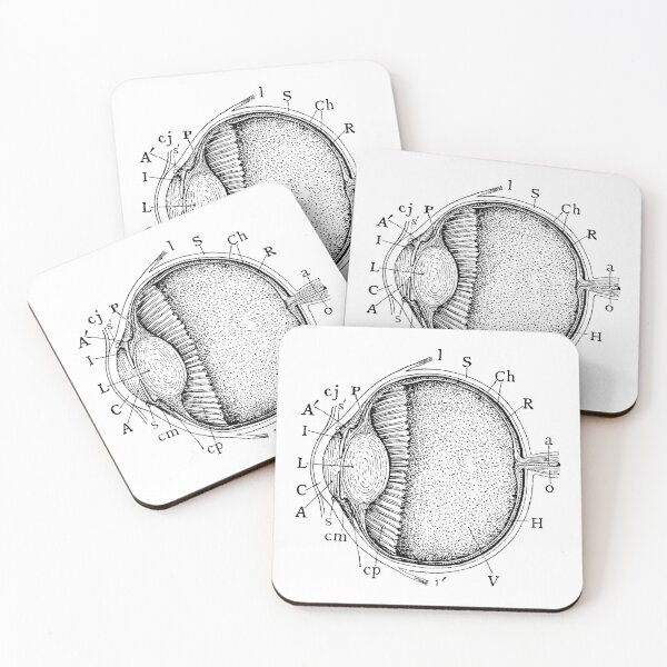 Vintage Eye Anatomy Coasters (Set of 4)