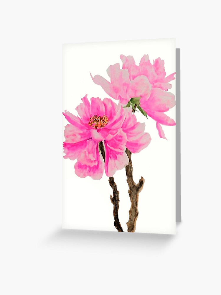 Tarjetas de felicitación «Acuarela de 2 peonías rosas» de ColorandColor |  Redbubble