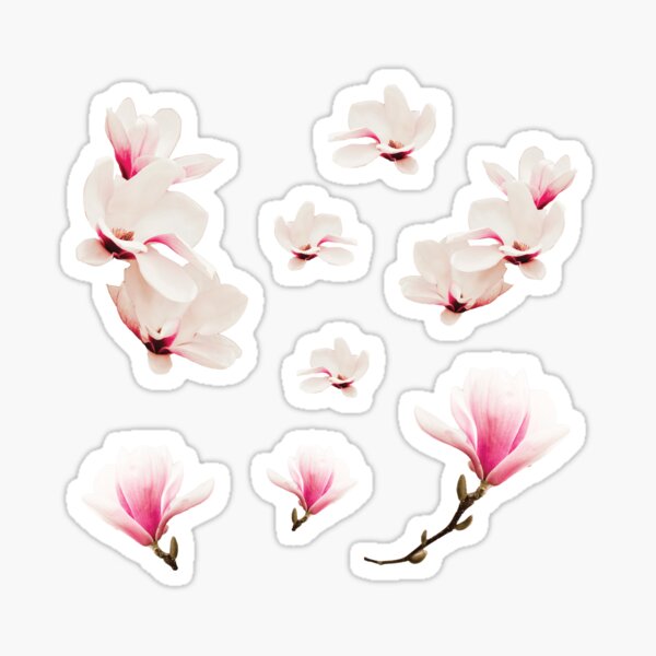 Magnolia Sticker Pack Magnolia Blossom Stickers Sticker For Sale By