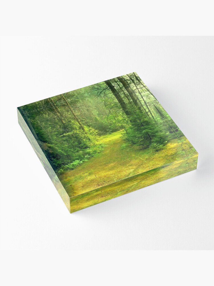 Thumbnail 3 of 5, Acrylic Block, Sunny Summer Forest Glade designed and sold by Mallorn.
