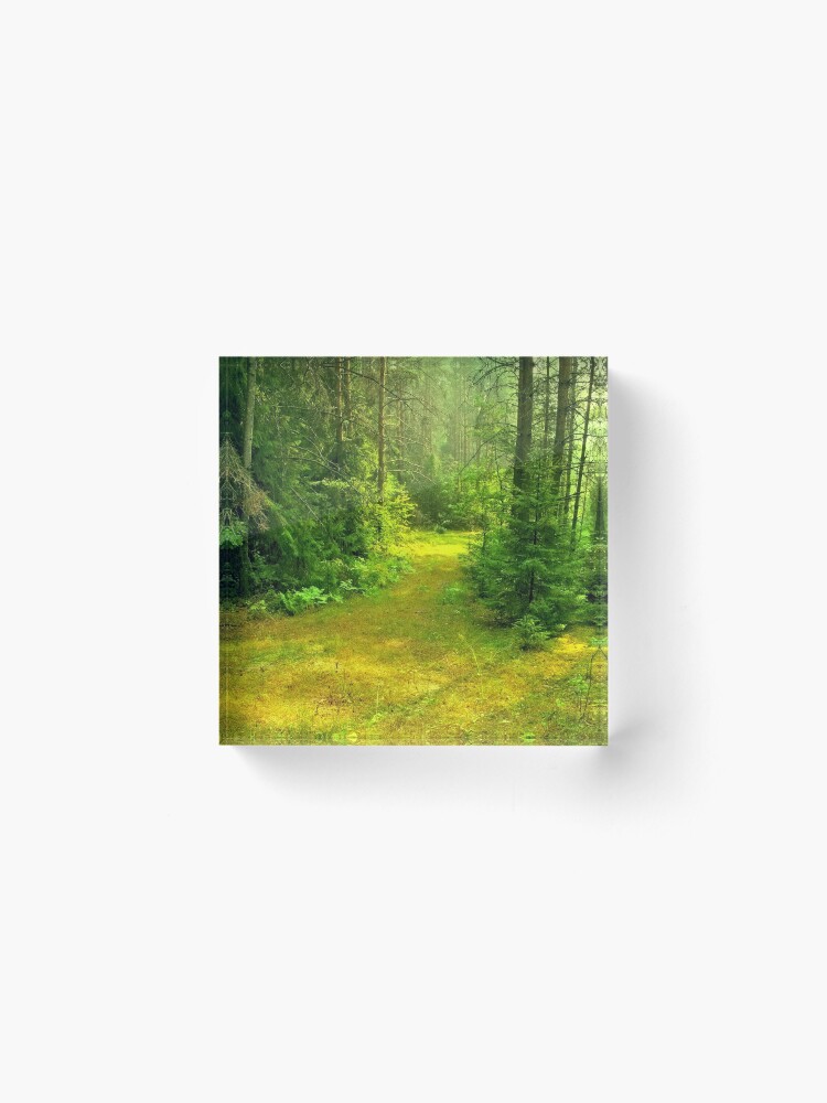 Thumbnail 2 of 5, Acrylic Block, Sunny Summer Forest Glade designed and sold by Mallorn.