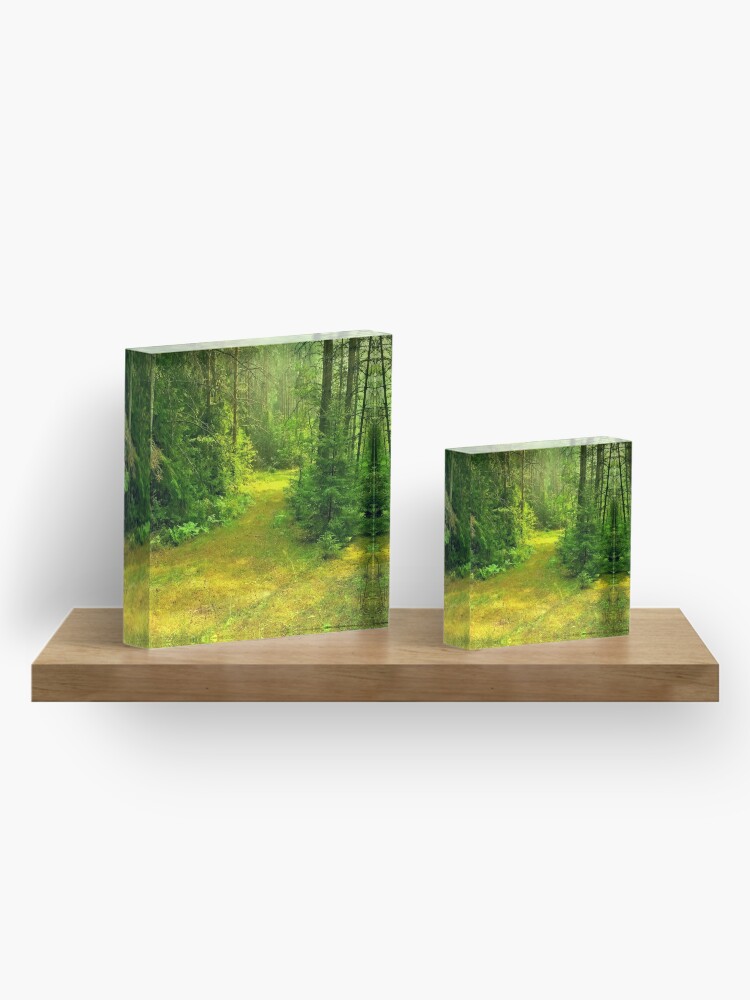 Thumbnail 4 of 5, Acrylic Block, Sunny Summer Forest Glade designed and sold by Mallorn.