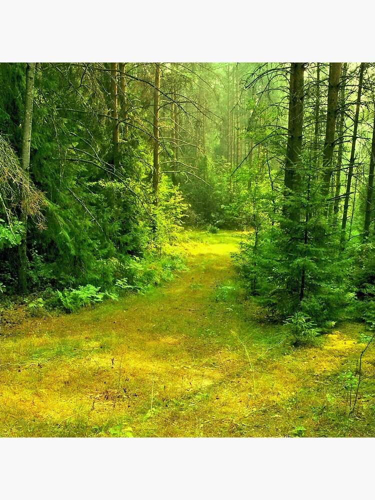 Thumbnail 5 of 5, Acrylic Block, Sunny Summer Forest Glade designed and sold by Mallorn.