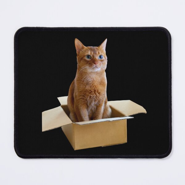Item preview, If I Fits, I Sits - Cat in a Box designed and sold by MeowMerch.