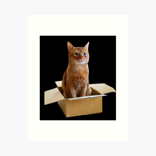 Item preview, If I Fits, I Sits - Cat in a Box designed and sold by MeowMerch.