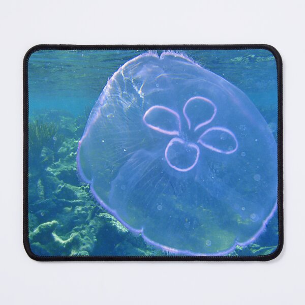 Item preview, Moon Jelly designed and sold by Leon Heyns.