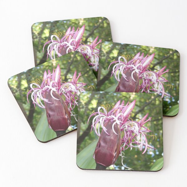 Item preview, Tropical Flowers designed and sold by Monika's Shop.