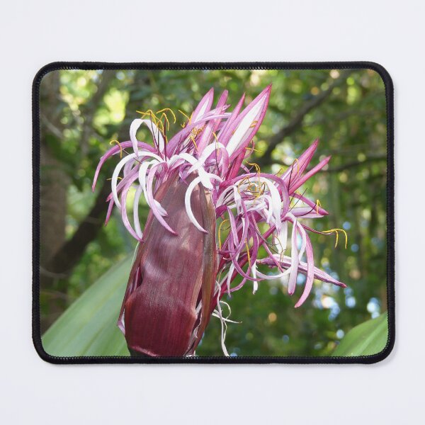 Item preview, Tropical Flowers designed and sold by Monika's Shop.