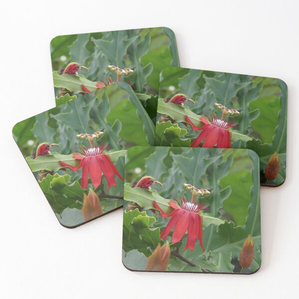 Item preview, Red Tropical Flowers designed and sold by Monika's Shop.