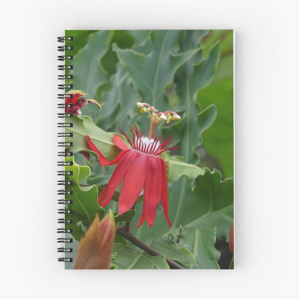 Item preview, Red Tropical Flowers designed and sold by Monika's Shop.