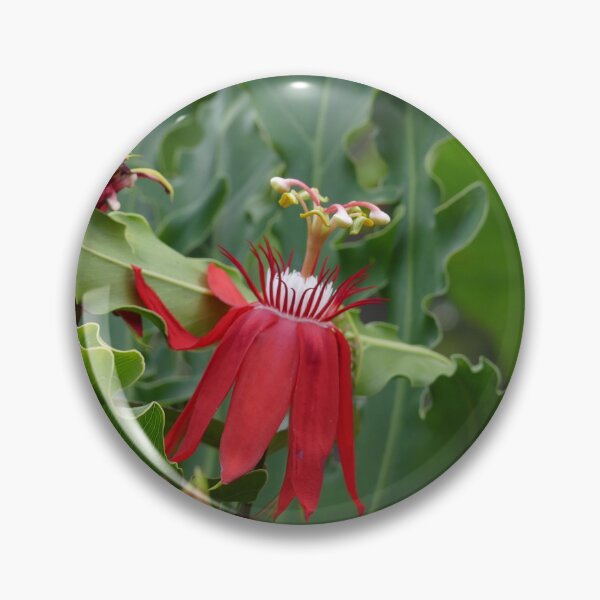 Item preview, Red Tropical Flowers designed and sold by Monika's Shop.