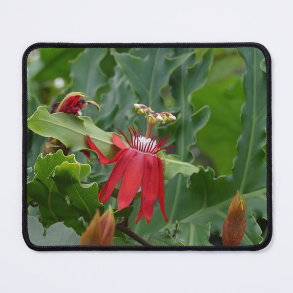 Item preview, Red Tropical Flowers designed and sold by Monika's Shop.