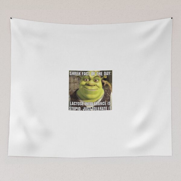 Item preview, Shrek Fact Of The Day designed and sold by SeacowSeacow.