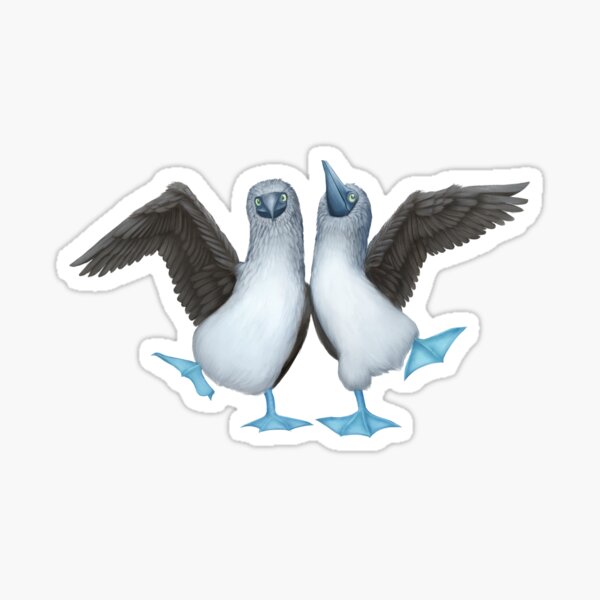 Nice Pair of Boobies Funny Booby Bird Gift' Sticker