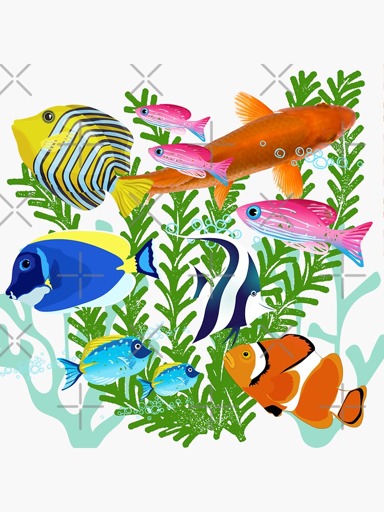 "Colourful tropical fish, just keep swimming, Fish keepers delight, summertime fun." Sticker for