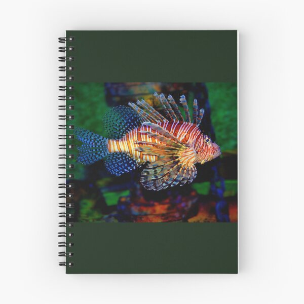 Item preview, Lionfish designed and sold by Savannah Gibbs.