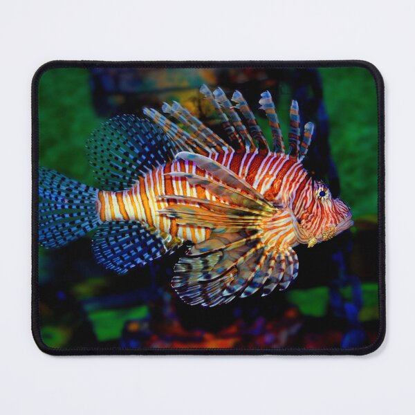 Item preview, Lionfish designed and sold by Savannah Gibbs.