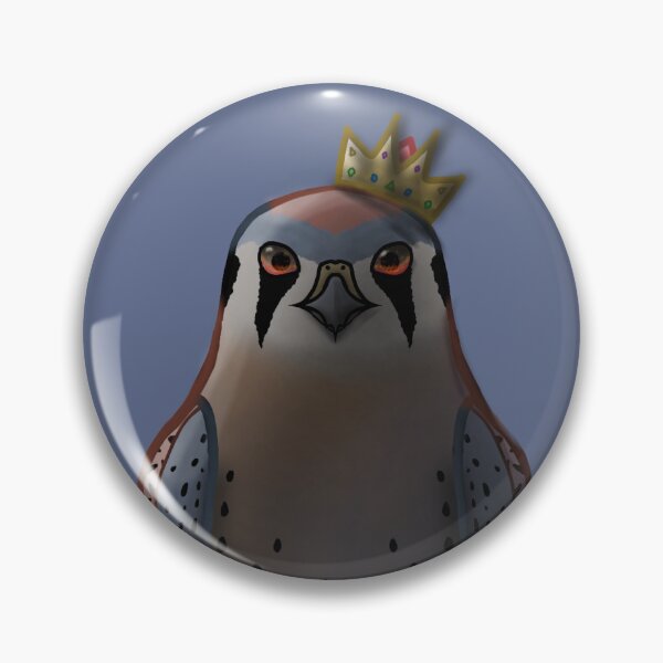 Item preview, The Dark King Kestrel designed and sold by Comet Falconry.