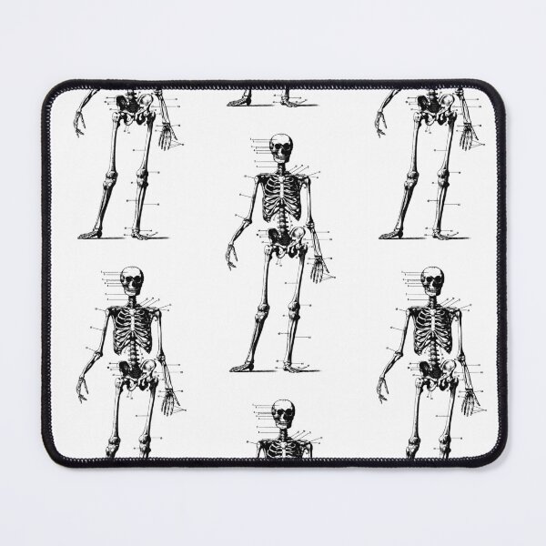 Item preview, Antique Human Anatomy Skeleton designed and sold by Pixelchicken.
