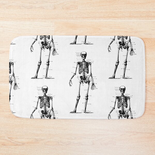Item preview, Antique Human Anatomy Skeleton designed and sold by Pixelchicken.
