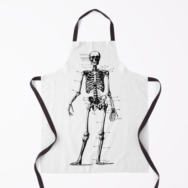 Item preview, Antique Human Anatomy Skeleton designed and sold by Pixelchicken.