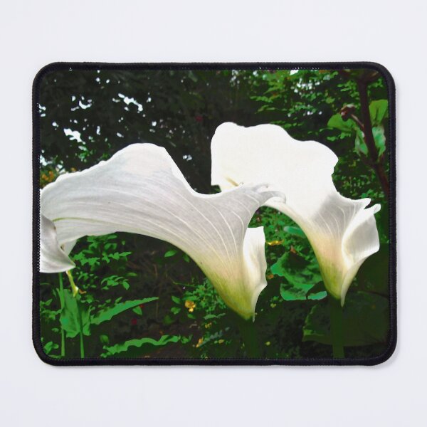 Item preview, White Flowers designed and sold by Shulie1.