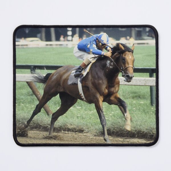 Item preview, C2021 Steve Yellowbear Fine Art  SARATOGA WINNER designed and sold by SteveYellowbear.