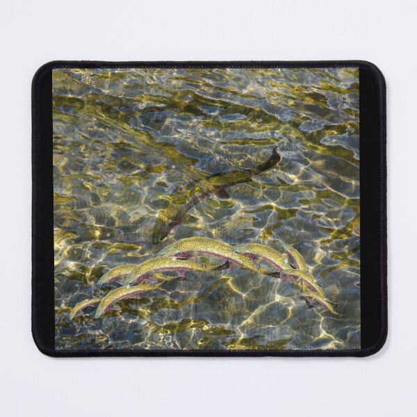 Item preview, Golden trout, golden sea designed and sold by MigBardsley2.