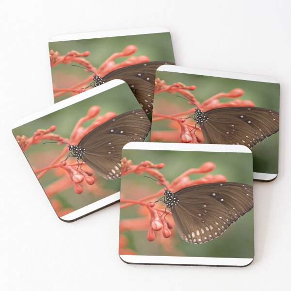 Item preview, Light Brown with Cream Dot Spring Butterfly on Bubbly Flower designed and sold by DeeCeeFashion.