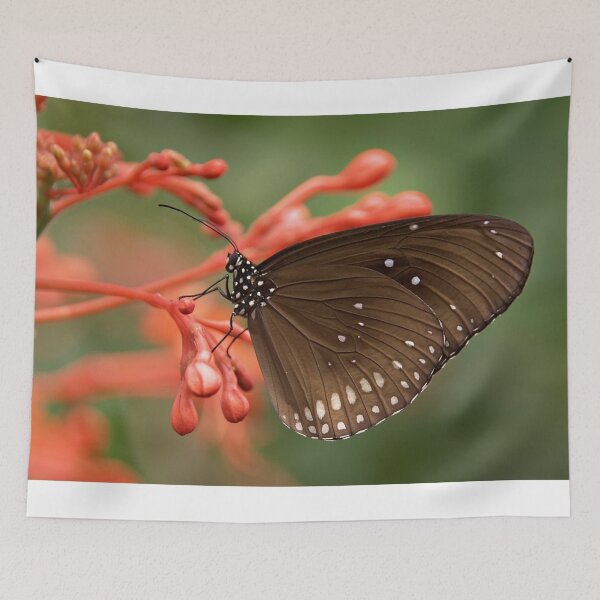 Item preview, Light Brown with Cream Dot Spring Butterfly on Bubbly Flower designed and sold by DeeCeeFashion.
