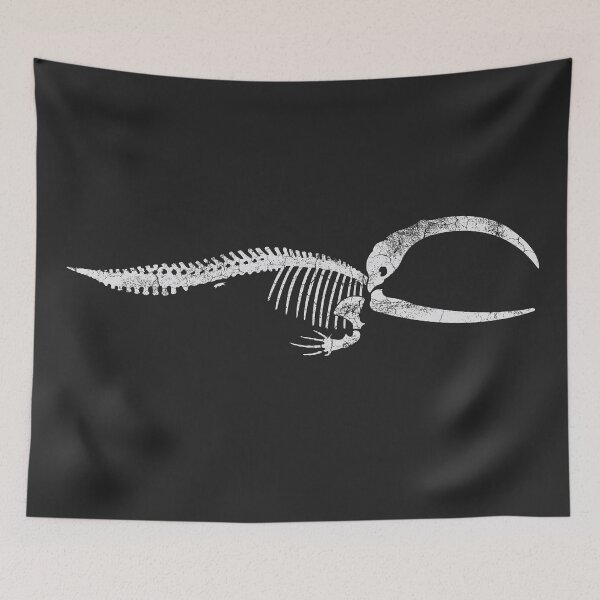 Item preview, Bowhead Whale Skeleton designed and sold by SpitsPixels.