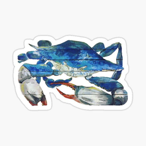 Cooler (King Crab Orange) Sticker for Sale by steveskaar