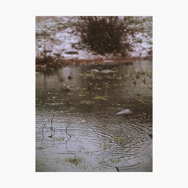 Raindrop - Murfreesboro, TN Photographic Print