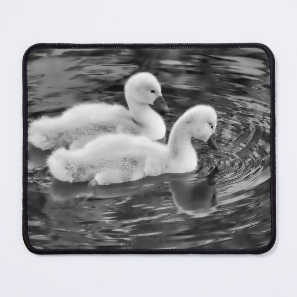 Item preview, Mute Swan Cygnets in Monochrome designed and sold by Dorset Girl.