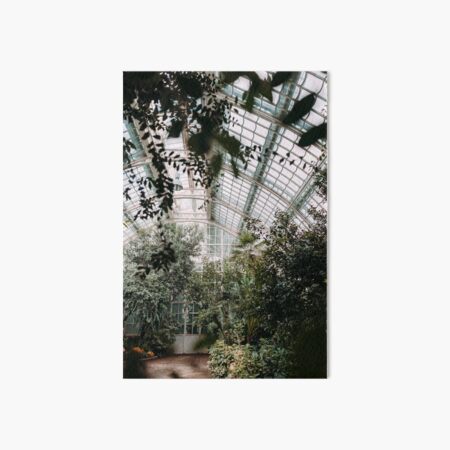 Item preview, palm house designed and sold by Linda Gschwentner.