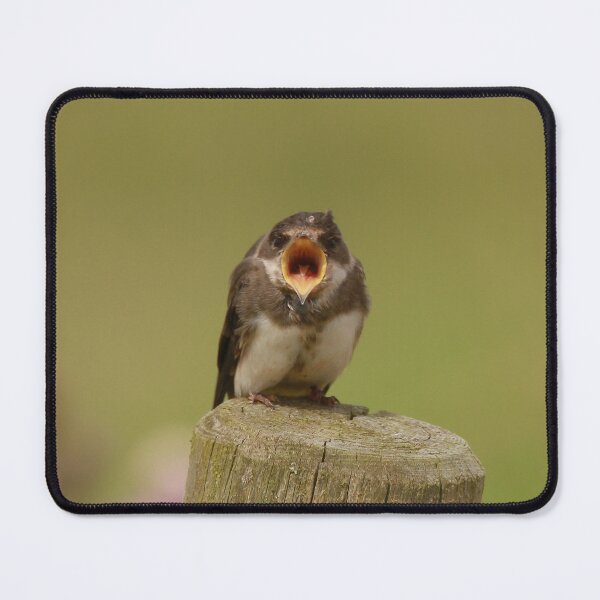 Item preview, Feeling hungry designed and sold by miradorpictures.