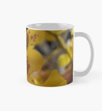 Gelbe Orchidee Tasse (Standard)