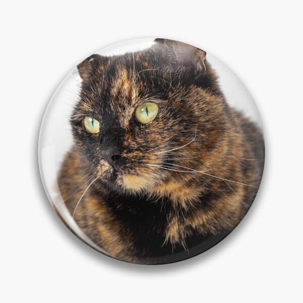 Item preview, Tortoiseshell Cat designed and sold by LizzieMaher.