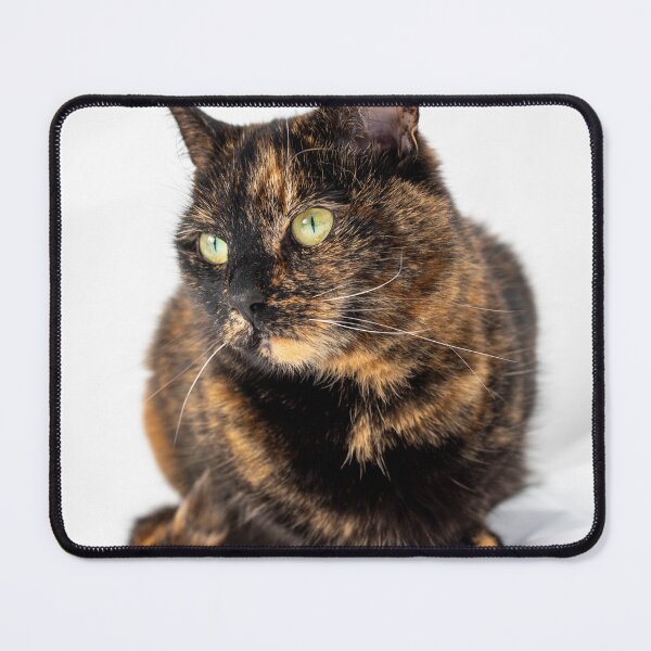 Item preview, Tortoiseshell Cat designed and sold by LizzieMaher.