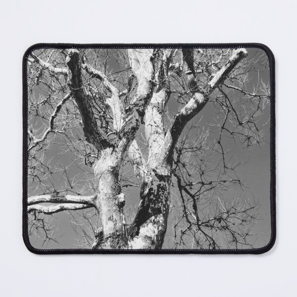 Item preview, Naked Treetop designed and sold by Fotohound7.
