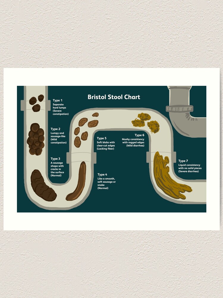 Bristol Stool Chart: Checking If Your Poop Is Healthy, 42% OFF