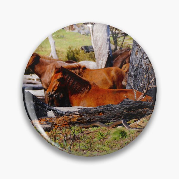 Item preview, Alpine Brumbies designed and sold by D-GaP.